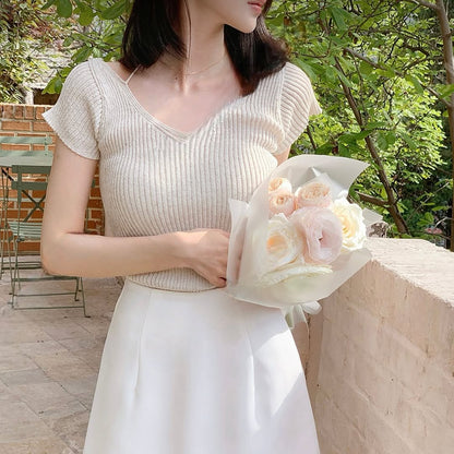 25YR1106 V Neck Slim Cut Knit